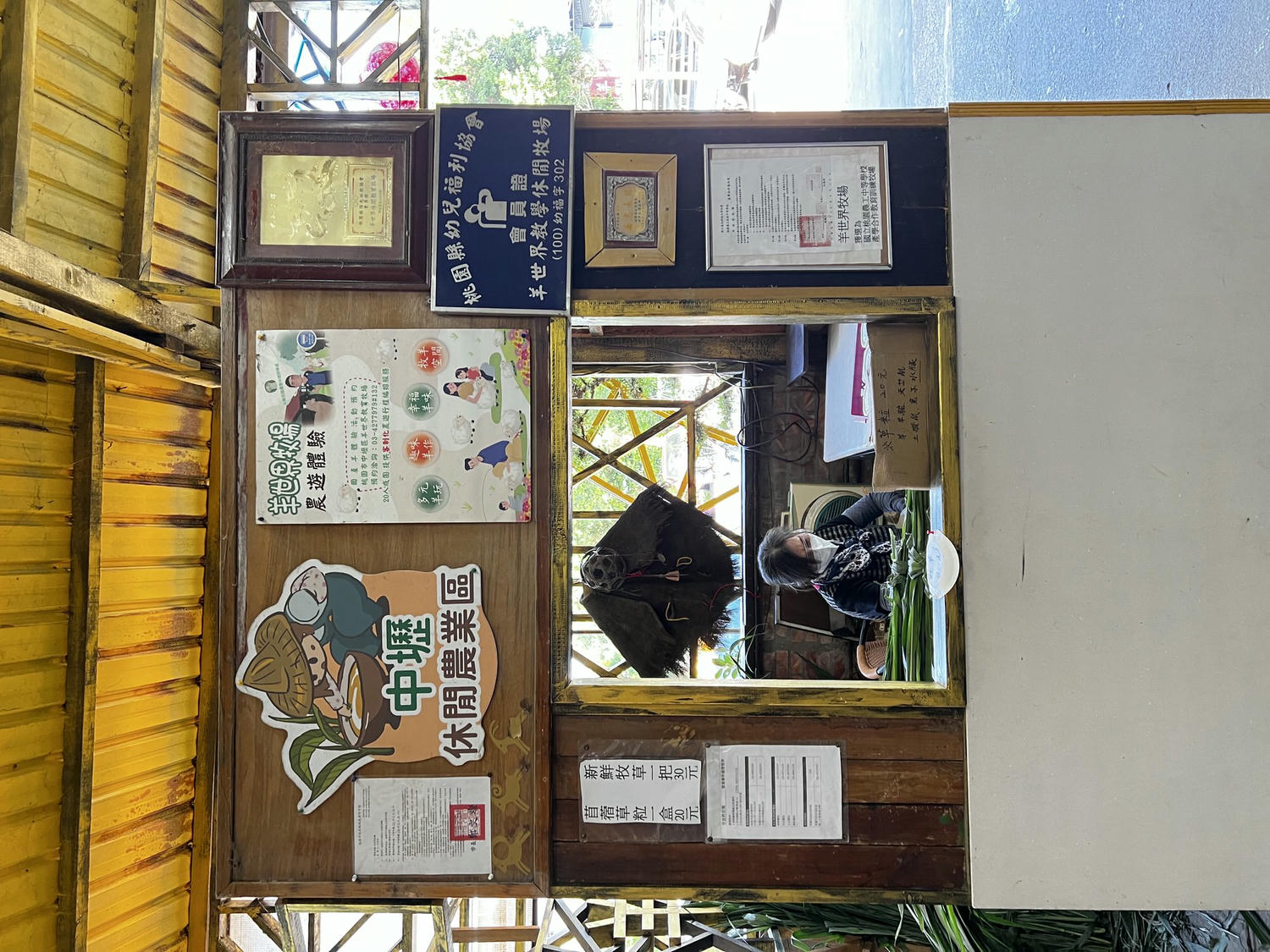 桃園中壢親子景點|羊世界休閒牧場 近距離餵羊坐小火車，超好玩!