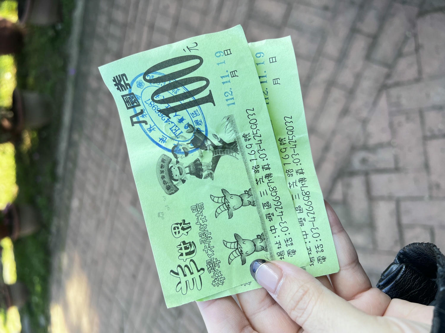 桃園中壢親子景點|羊世界休閒牧場 近距離餵羊坐小火車，超好玩!