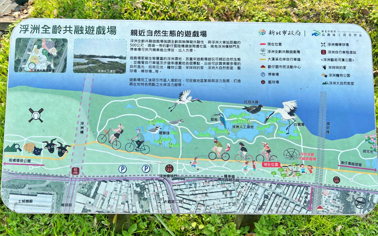 板橋親子景點|板橋浮洲藝術河濱公園 恐龍兒童遊戲場、騎自行車、免費餵小羊,一次滿足! - 第7張圖 板橋親子景點|板橋浮洲藝術河濱公園 恐龍兒童遊戲場、騎自行車、免費餵小羊,一次滿足!