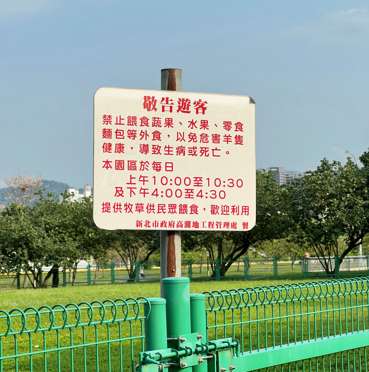 板橋親子景點|板橋浮洲藝術河濱公園 恐龍兒童遊戲場、騎自行車、免費餵小羊,一次滿足! - 第24張圖 板橋親子景點|板橋浮洲藝術河濱公園 恐龍兒童遊戲場、騎自行車、免費餵小羊,一次滿足!