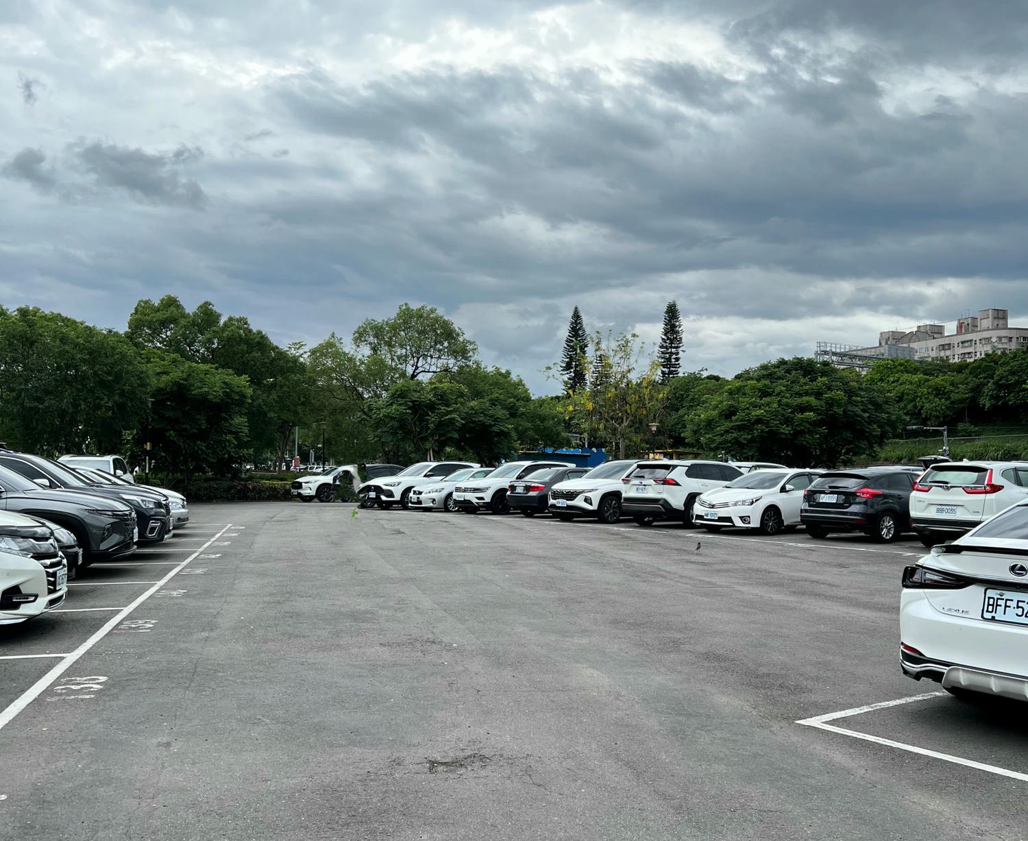 新北親子景點|新店小碧潭微樂山丘自行車躍動場 享受自行越野車的樂趣! - 第4張圖 新北親子景點|新店小碧潭微樂山丘自行車躍動場 享受自行越野車的樂趣!
