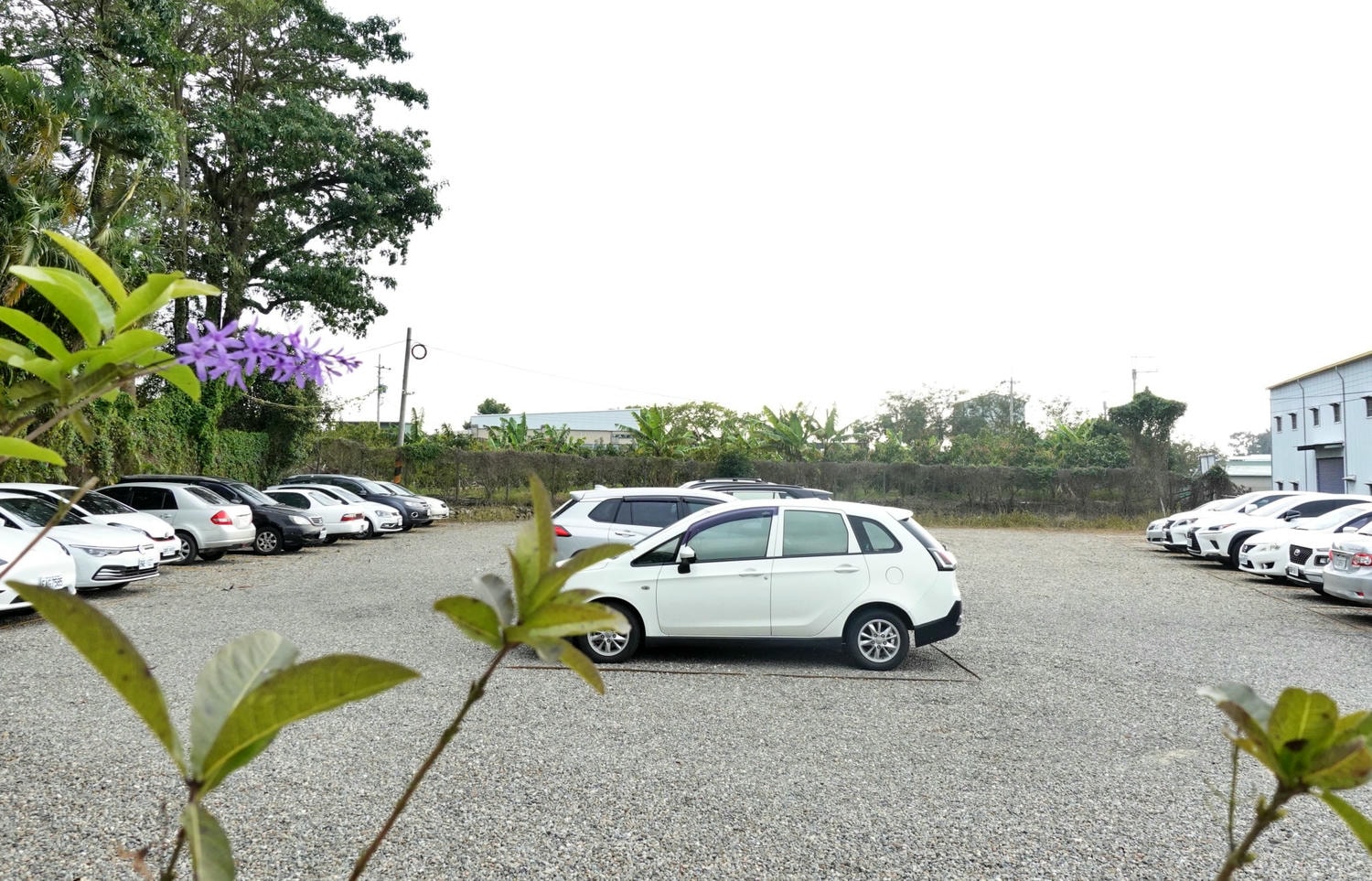 嘉義親子露營車住宿-詩情花園渡假村,DIY披薩、魔術表演、煙火秀,一站式度假體驗! - 第5張圖 嘉義親子露營車住宿-詩情花園渡假村,DIY披薩、魔術表演、煙火秀,一站式度假體驗!