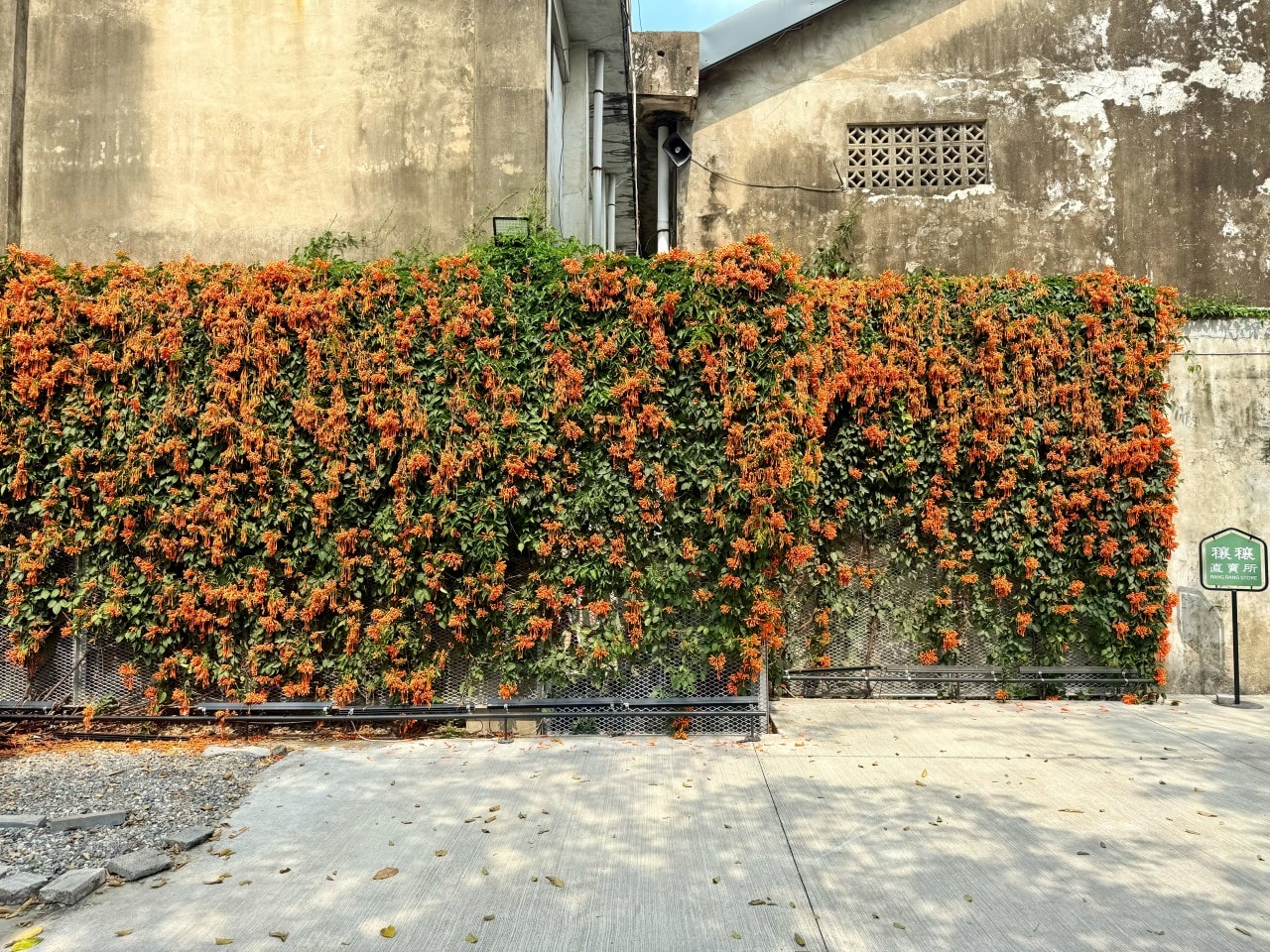 嘉義中埔穀倉農創園區|全台唯一老穀倉星巴克與特色伴手禮 - 第10張圖 嘉義中埔穀倉農創園區|全台唯一老穀倉星巴克與特色伴手禮