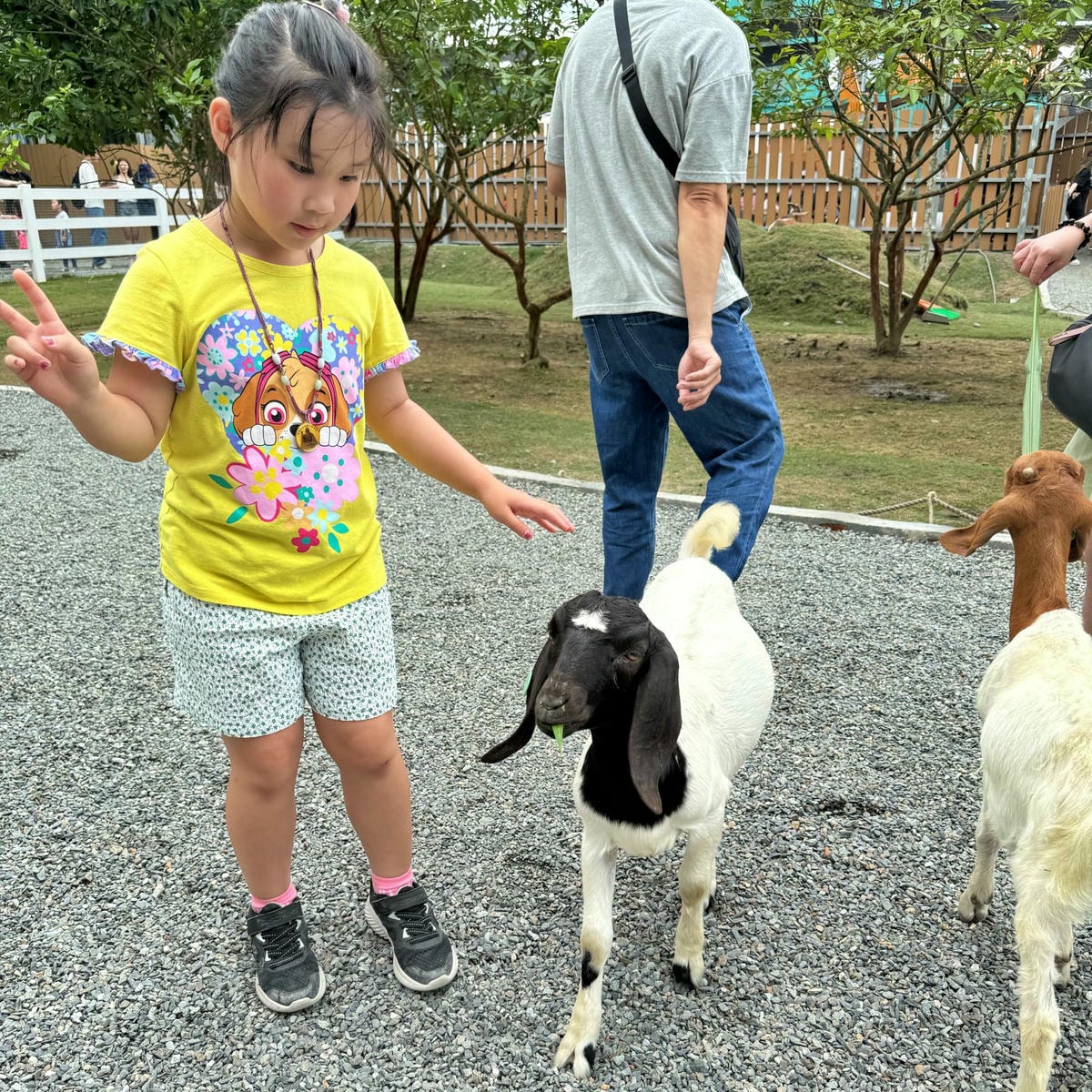 新北親子農場推薦|萌萌森林物語 水豚君、狐獴、笑笑羊近距離接觸餵食超有趣! - 第17張圖 新北親子農場推薦|萌萌森林物語 水豚君、狐獴、笑笑羊近距離接觸餵食超有趣!